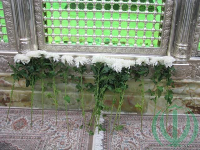 Цветы из Латвии у могилы Имама Хомейни