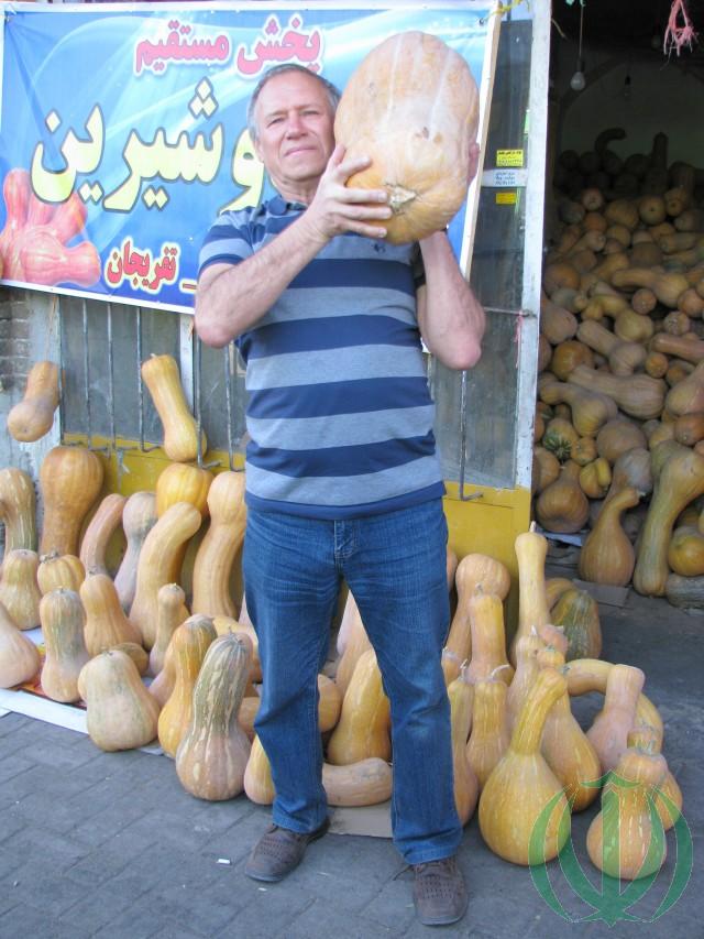 Иранские тыквы Иранские тыквы