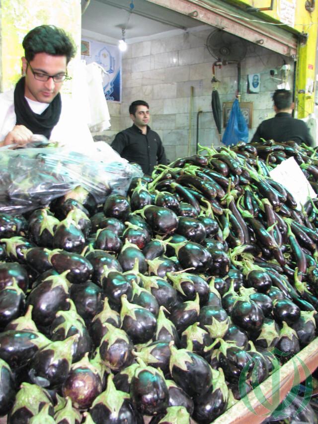 Иранский баклажан Иранский баклажан