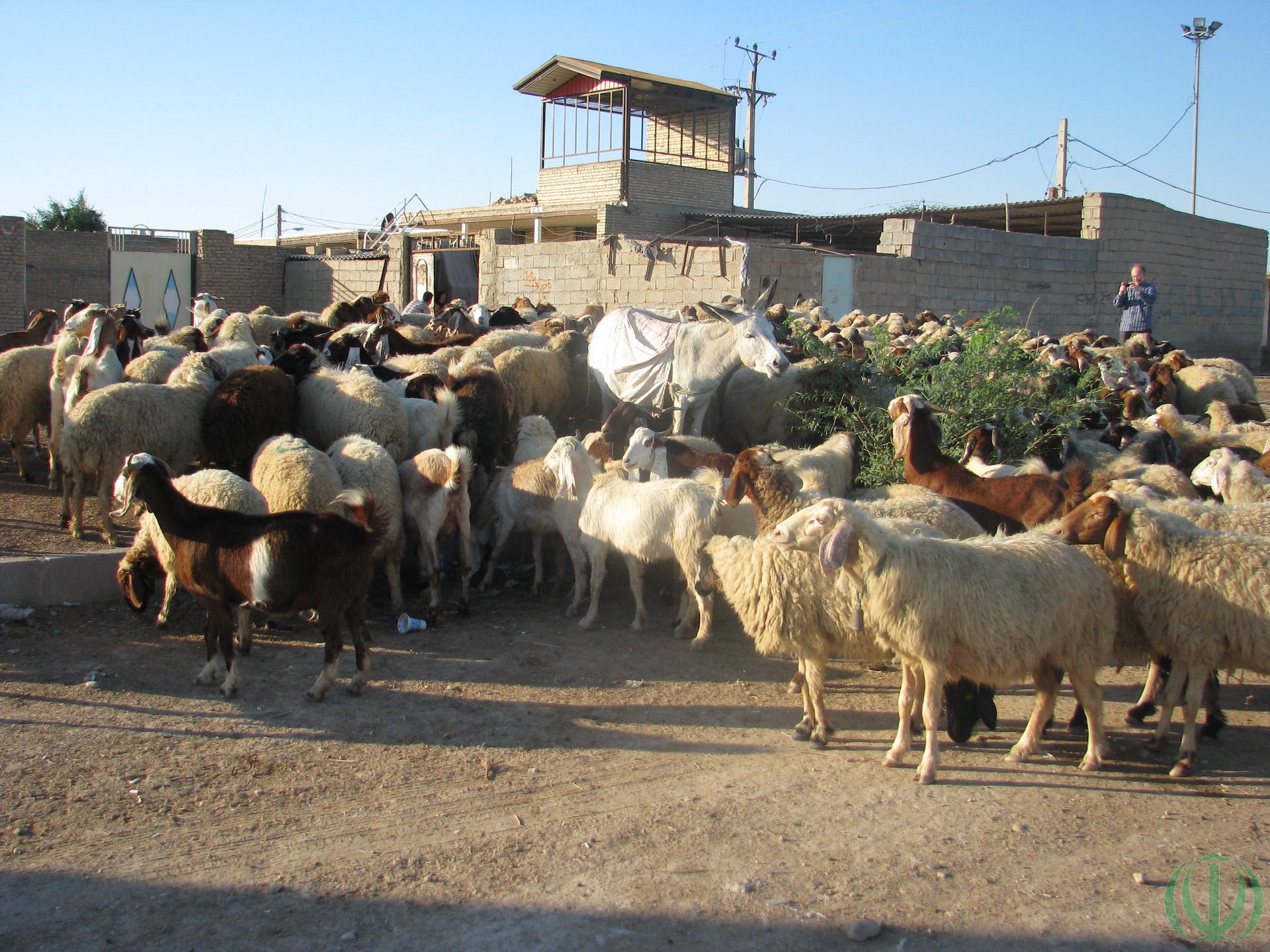 Хузестан туристический. Шуш. Хузестан туристический. Шуш.