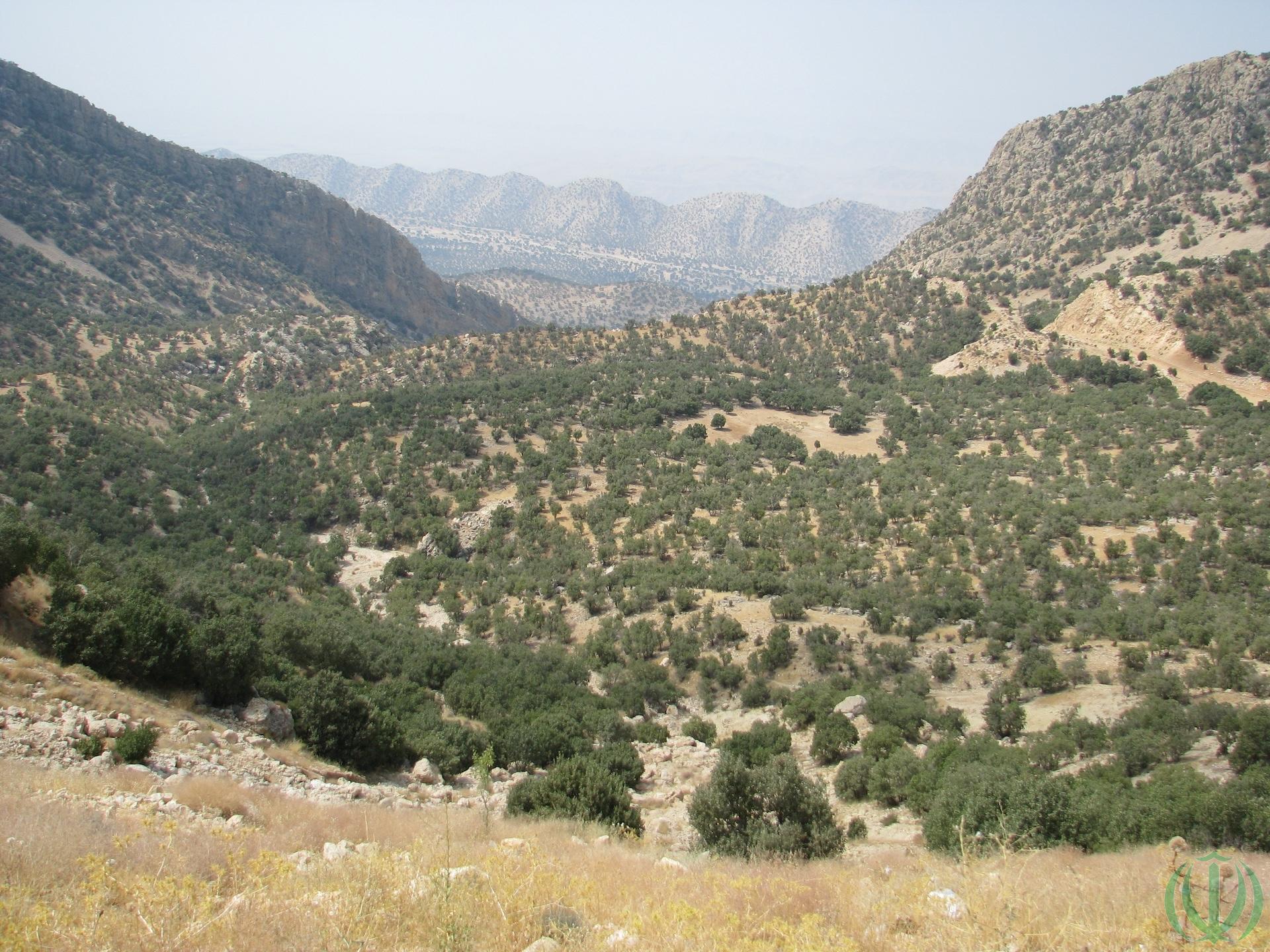 Нам десять лет. Казерун. Нам десять лет. Казерун.