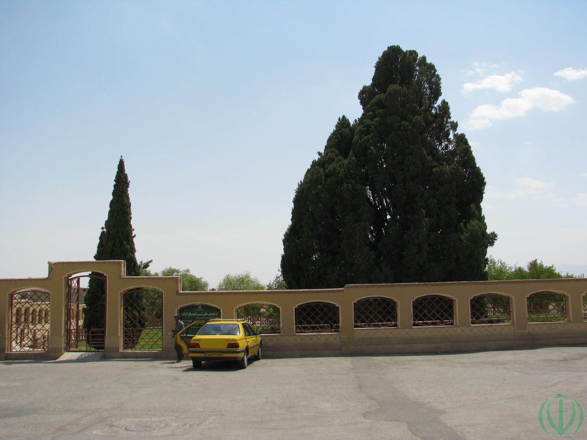 Нам десять лет. Абаркух Нам десять лет. Абаркух